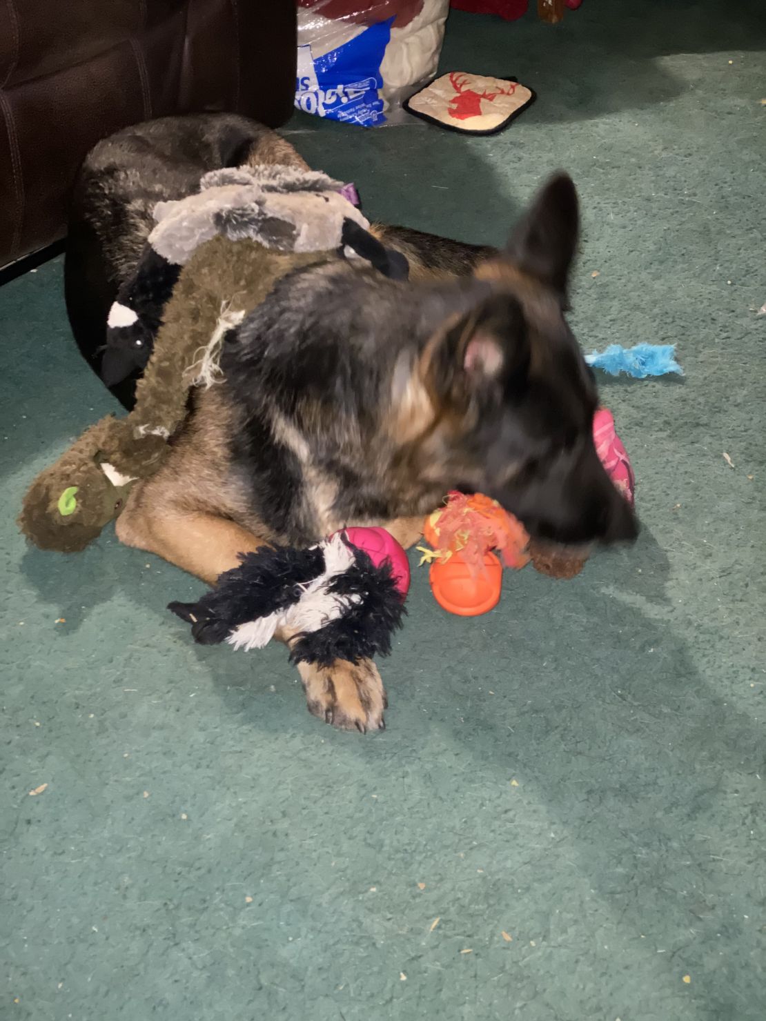 Lincoln NE Massage Therapy Leah Buckbee